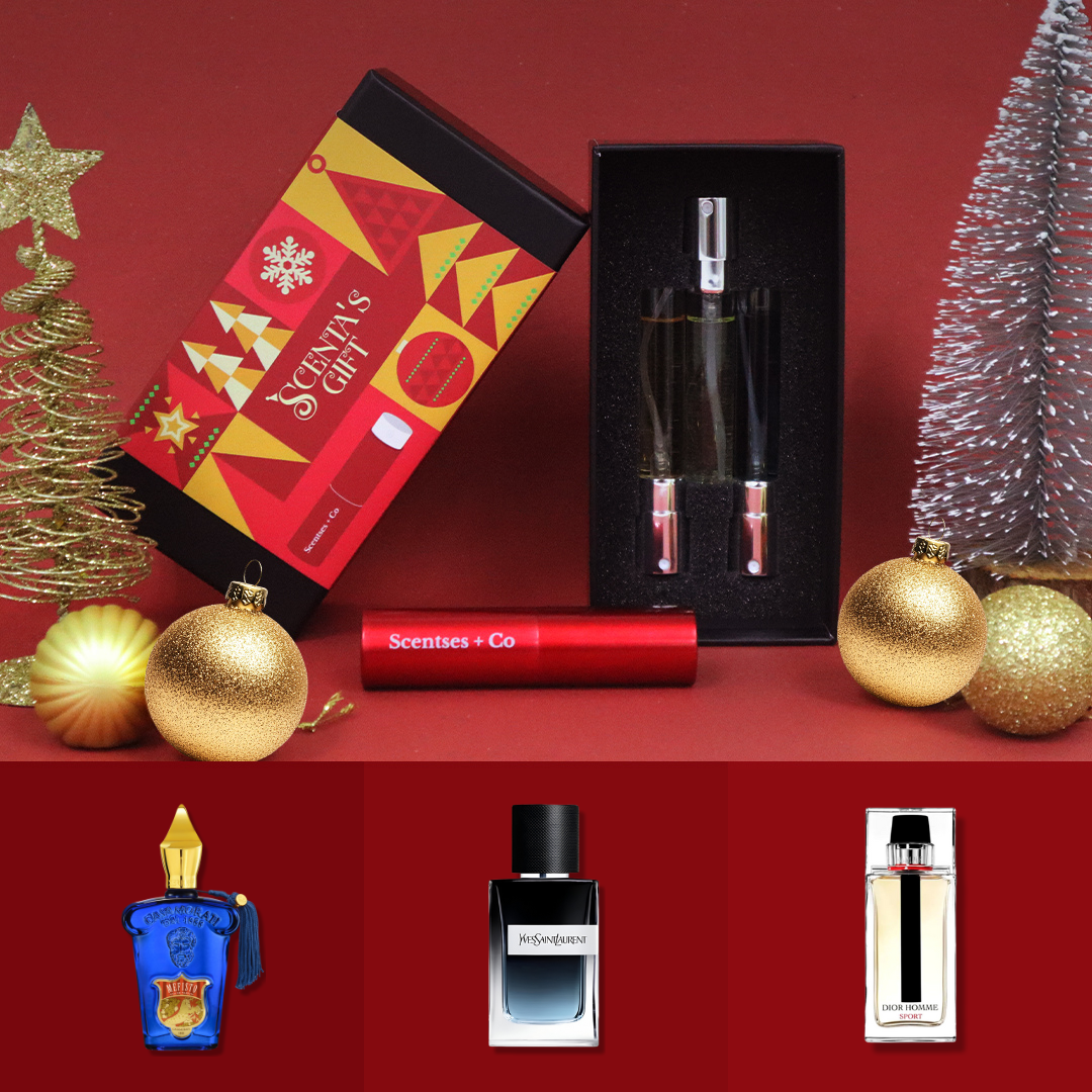 [Christmas Gift] Night & Day