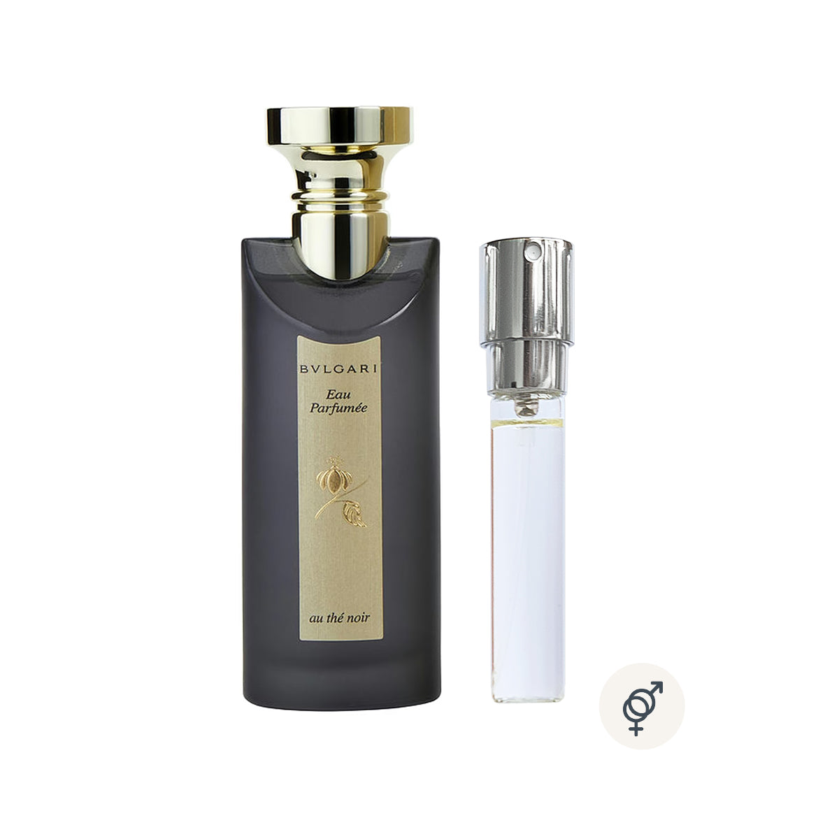 Bvlgari Eau Parfumee Au The Noir EDC Intense – Scentses + Co