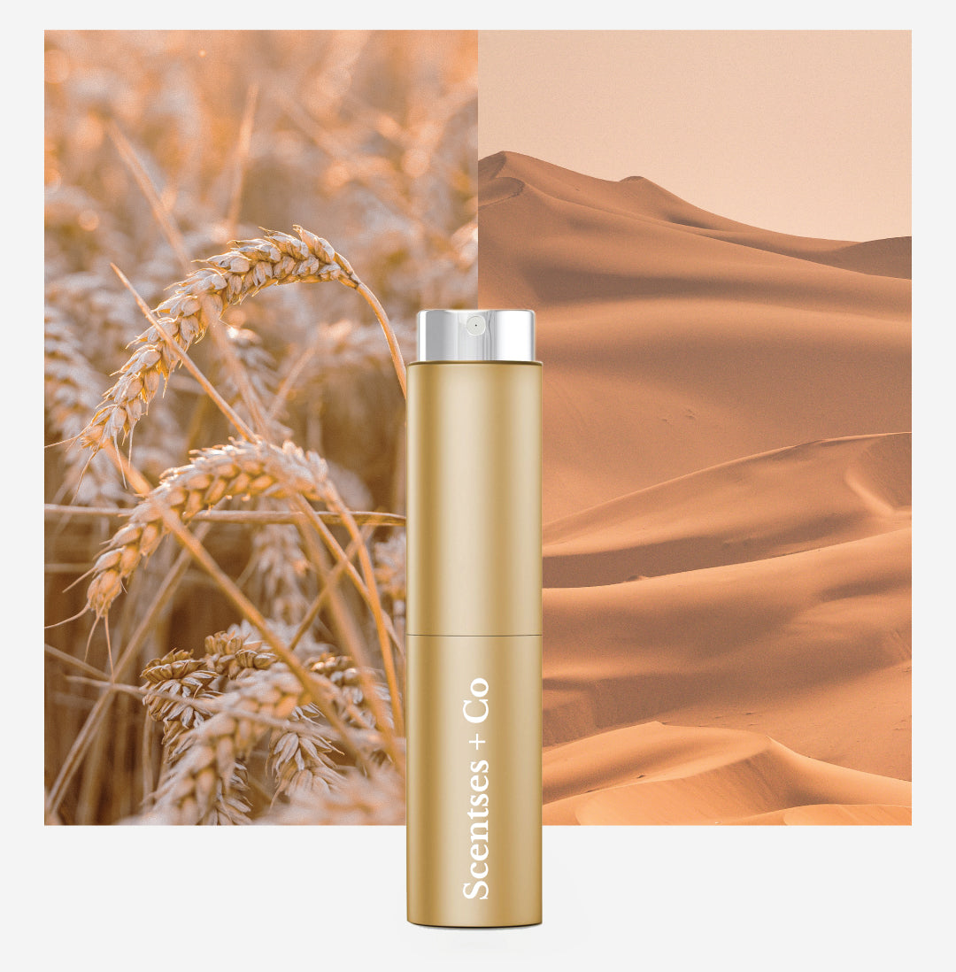 Travel Case — Matte Gold