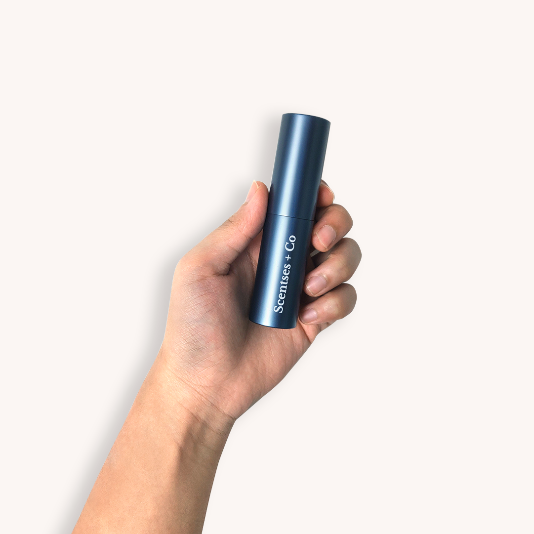 Travel Case — Oxford Blue