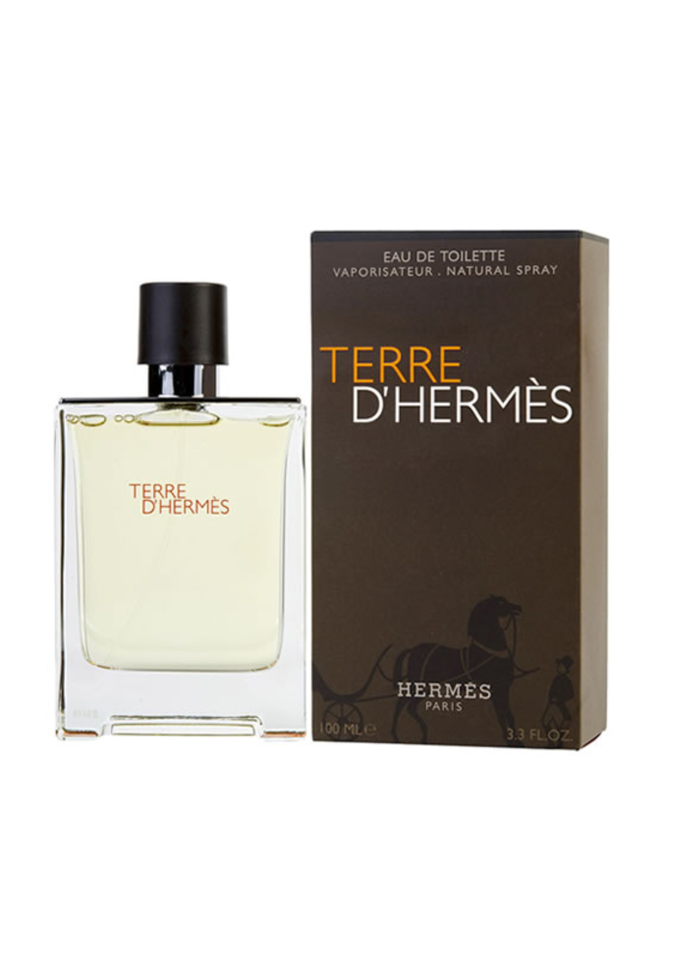 Terre D'hermès Eau De Toilette 100 Ml de Hermes 