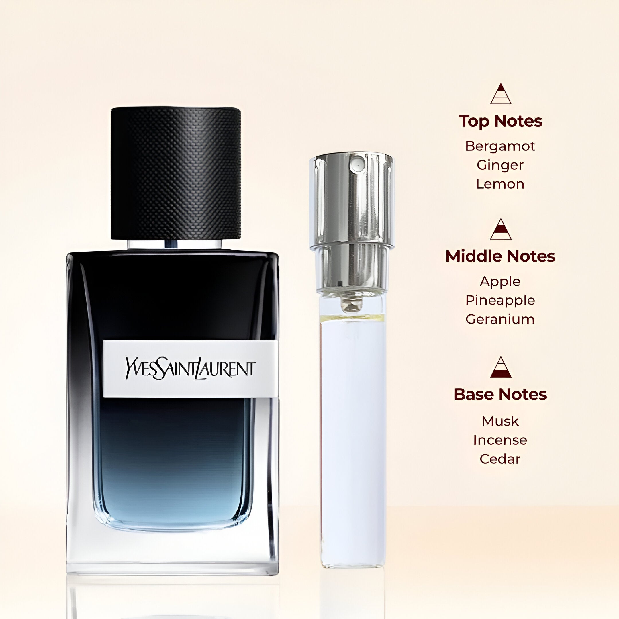 [Christmas Gift] Night & Day