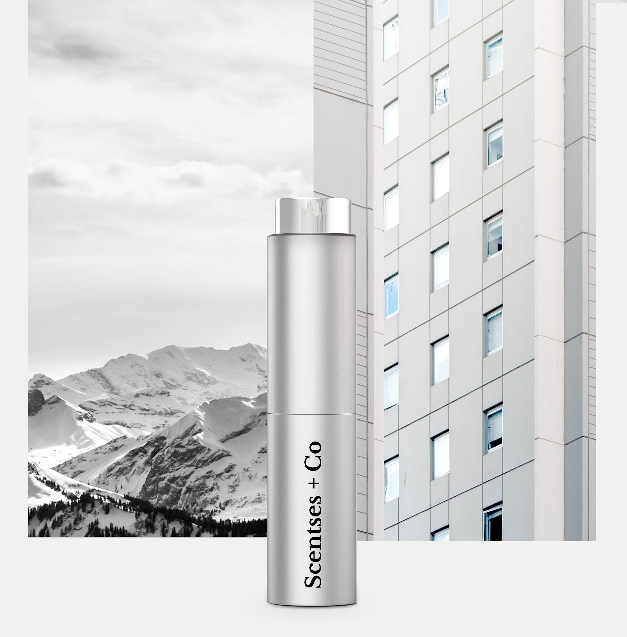 Travel Case — Silver Stellar