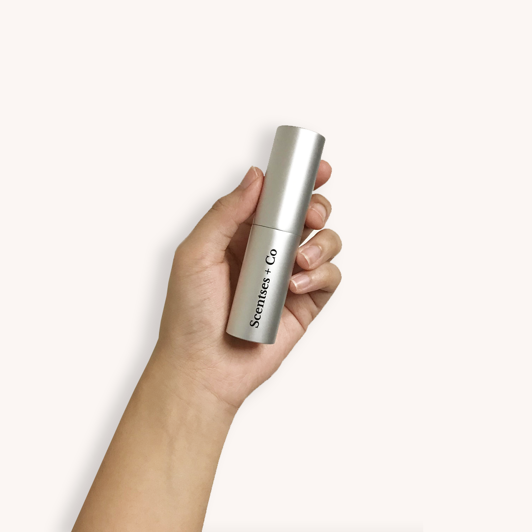 Travel Case — Silver Stellar