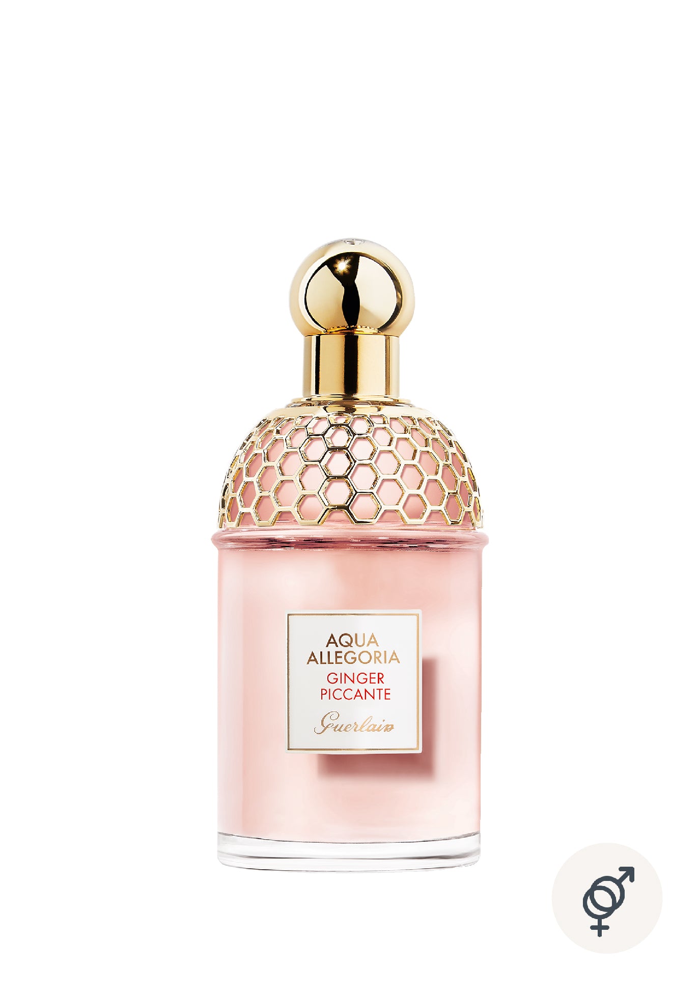 Guerlain Aqua Allegoria Ginger Piccanta EDT