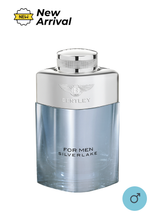 Load image into Gallery viewer, [New in Box] Bentley For Men Silverlake EDP
