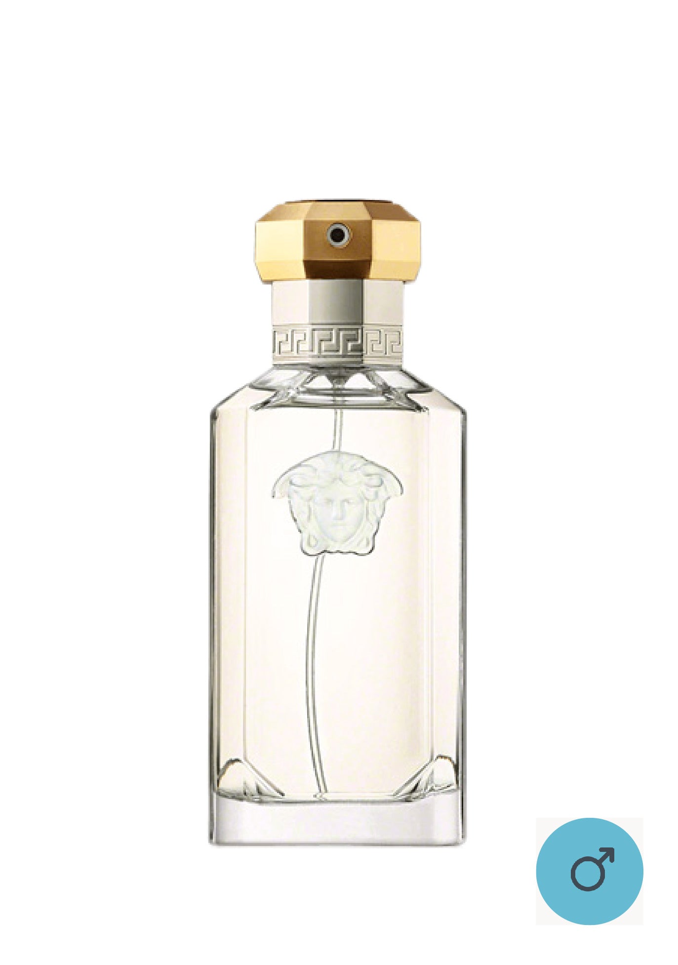 Versace The Dreamer EDT – Scentses Co