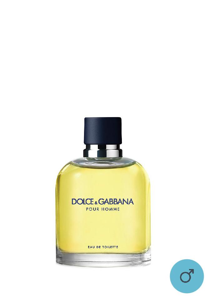 Dolce and deals gabbana pour homme