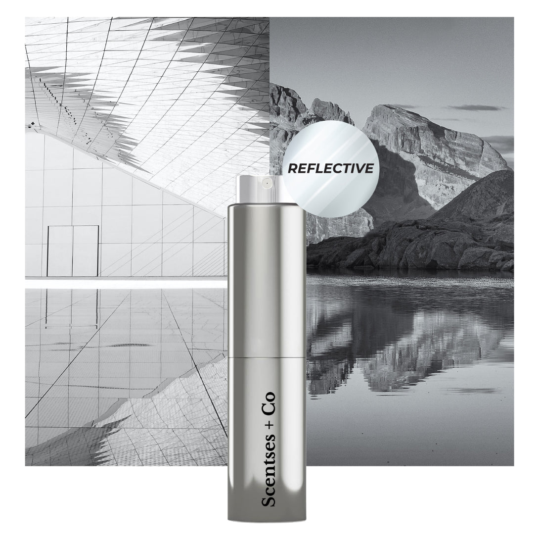 Travel Case — Platinum Mirror (Engraving is not available)