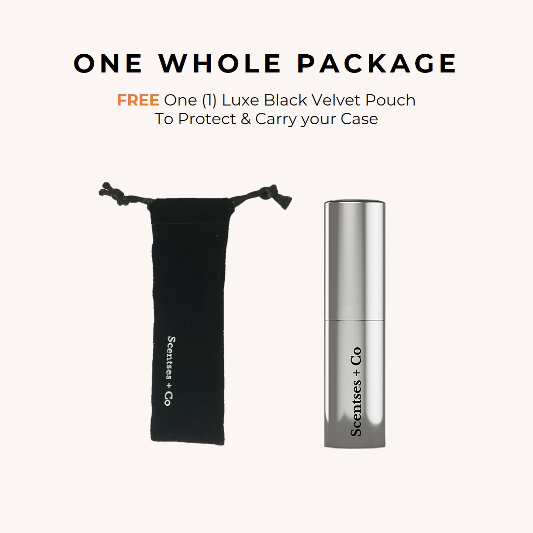 Travel Case — Platinum Mirror (Engraving is not available)