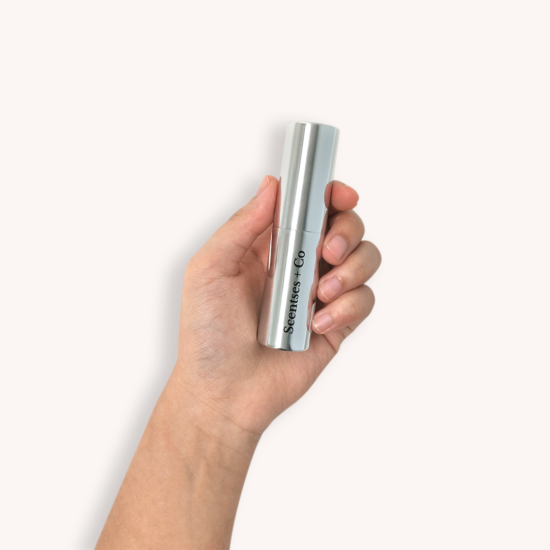 Travel Case — Platinum Mirror (Engraving is not available)