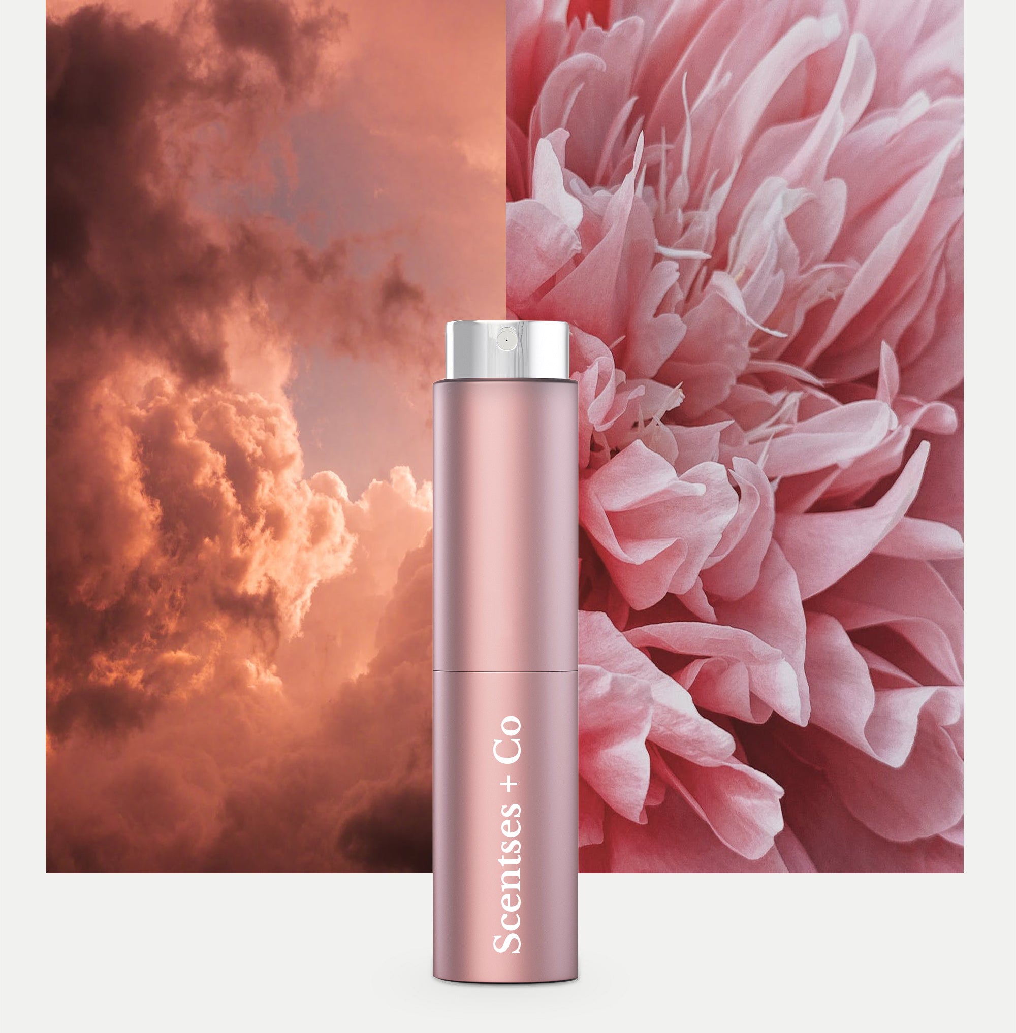 Travel Case — Rosé Pink