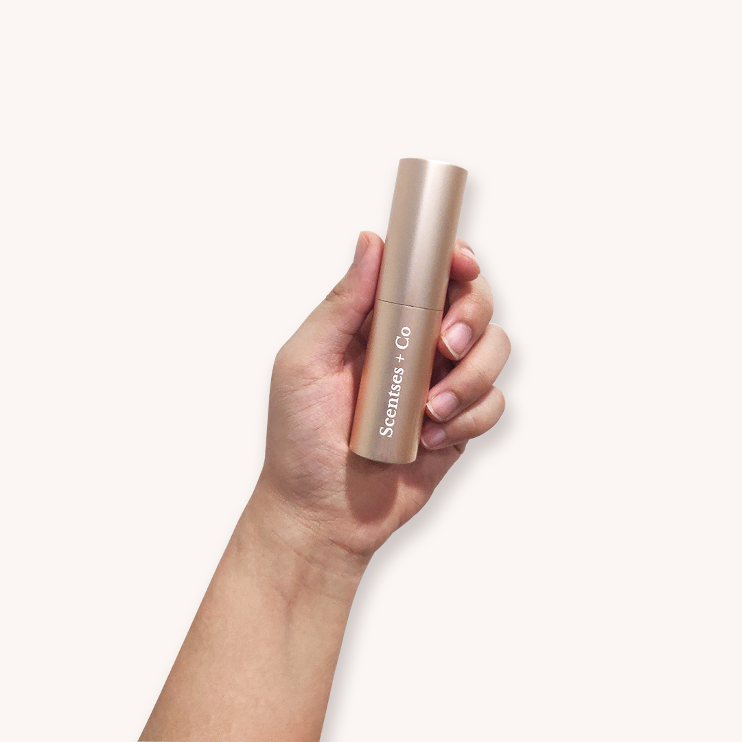 Travel Case — Rose Gold