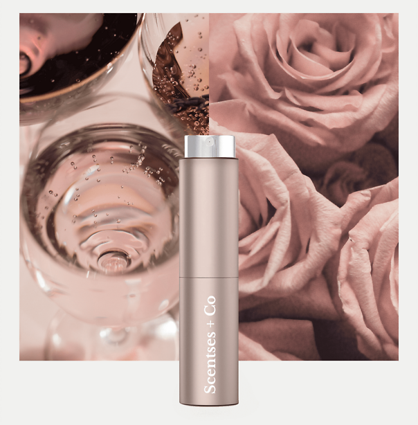 Travel Case — Rose Gold