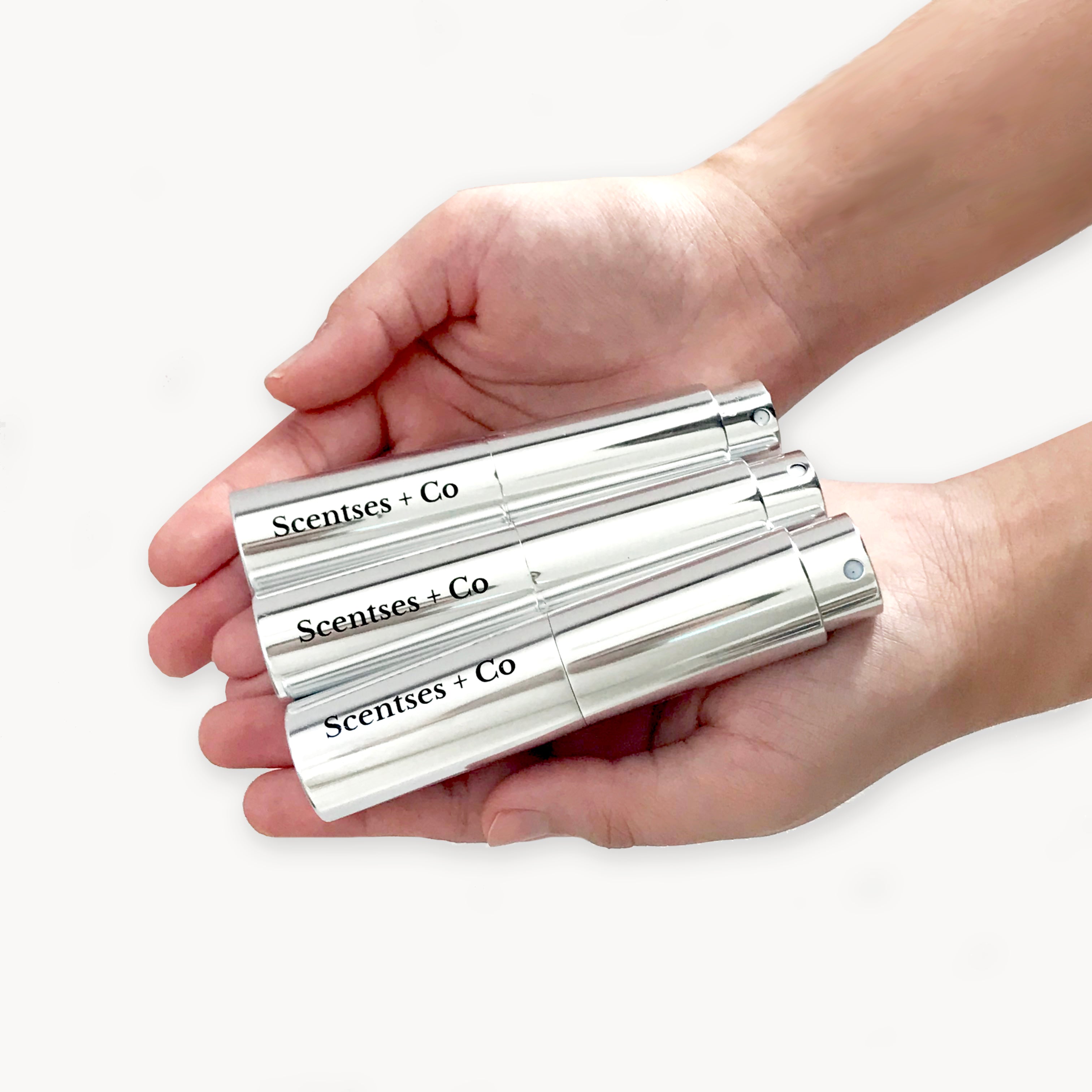 Travel Case — Platinum Mirror (Engraving is not available)